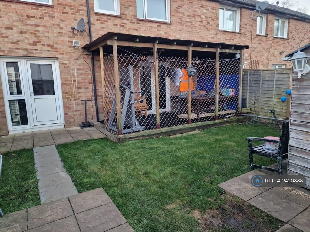 Back Garden 