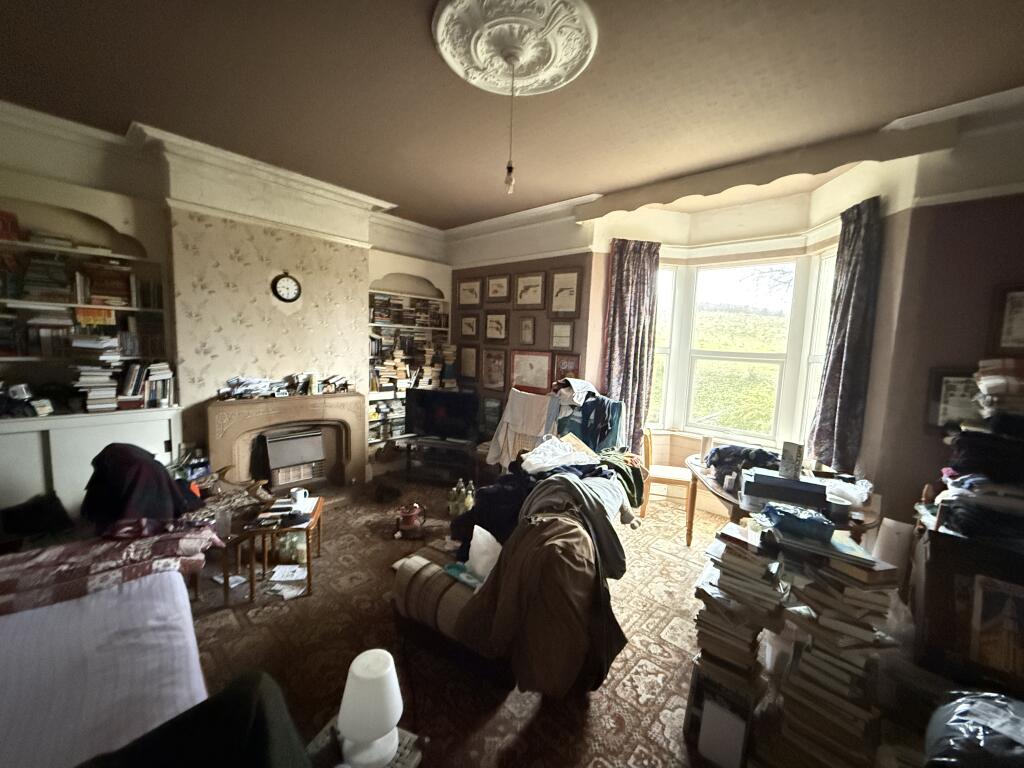 IMG 2024 T202511131557.jpg