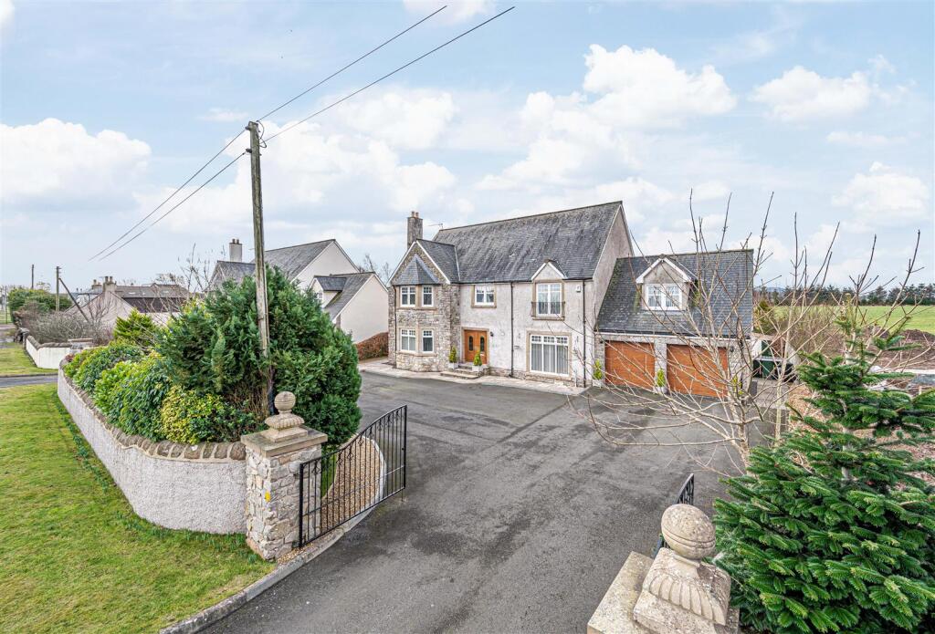 untitled (3 of 1).JPG