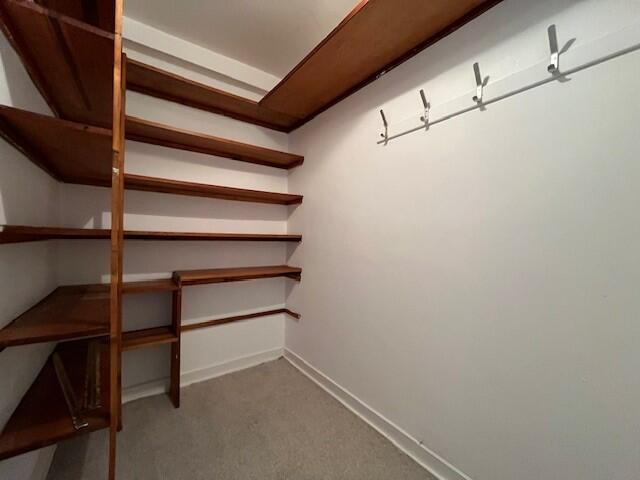 Hall Cupboard