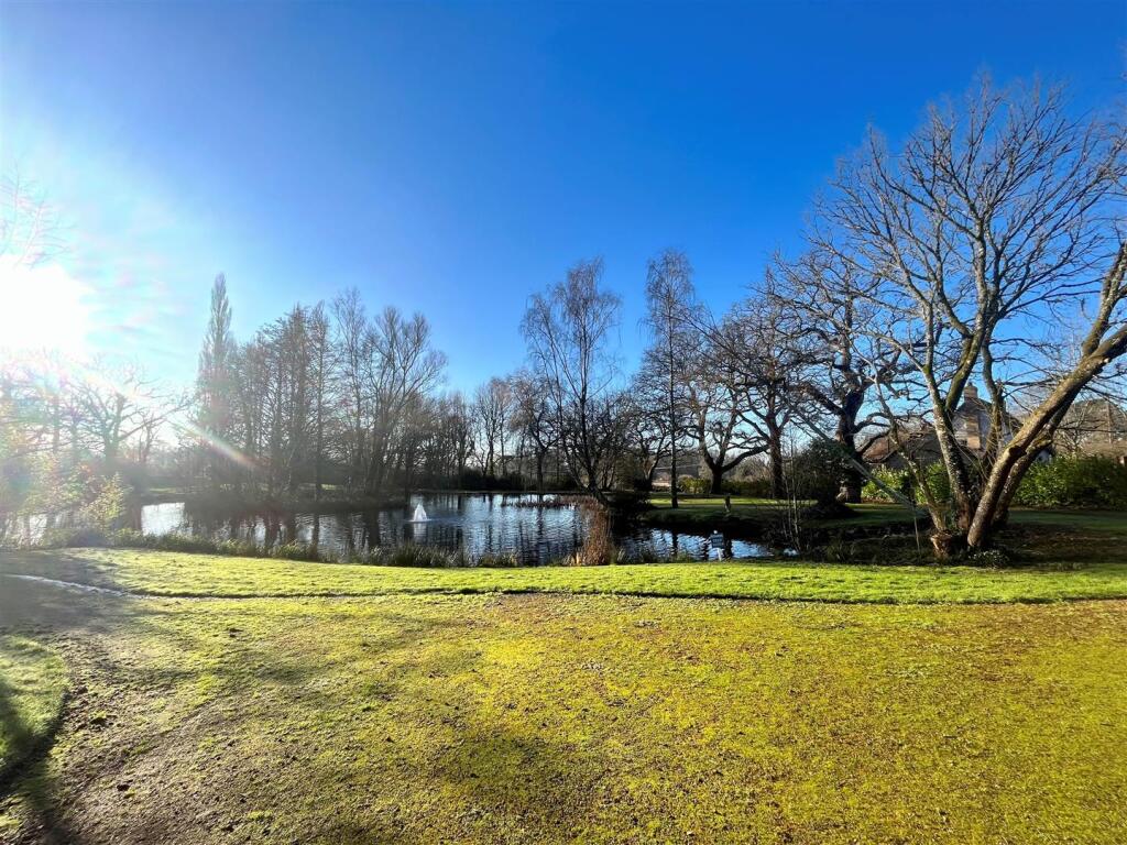 Lake.jpg