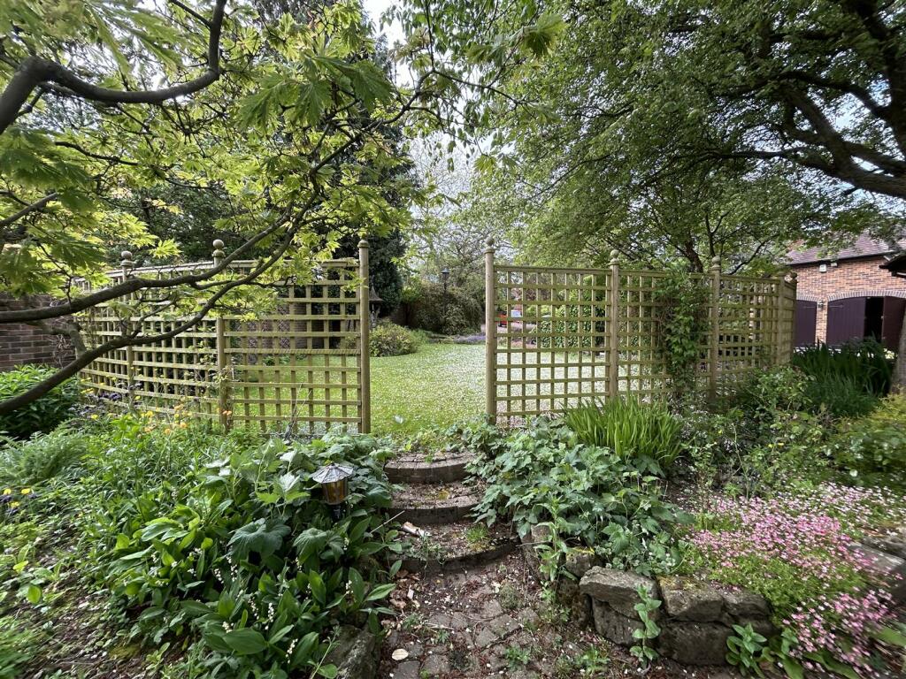 secret garden.JPG