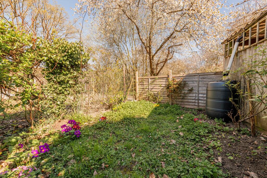 Garden (6)