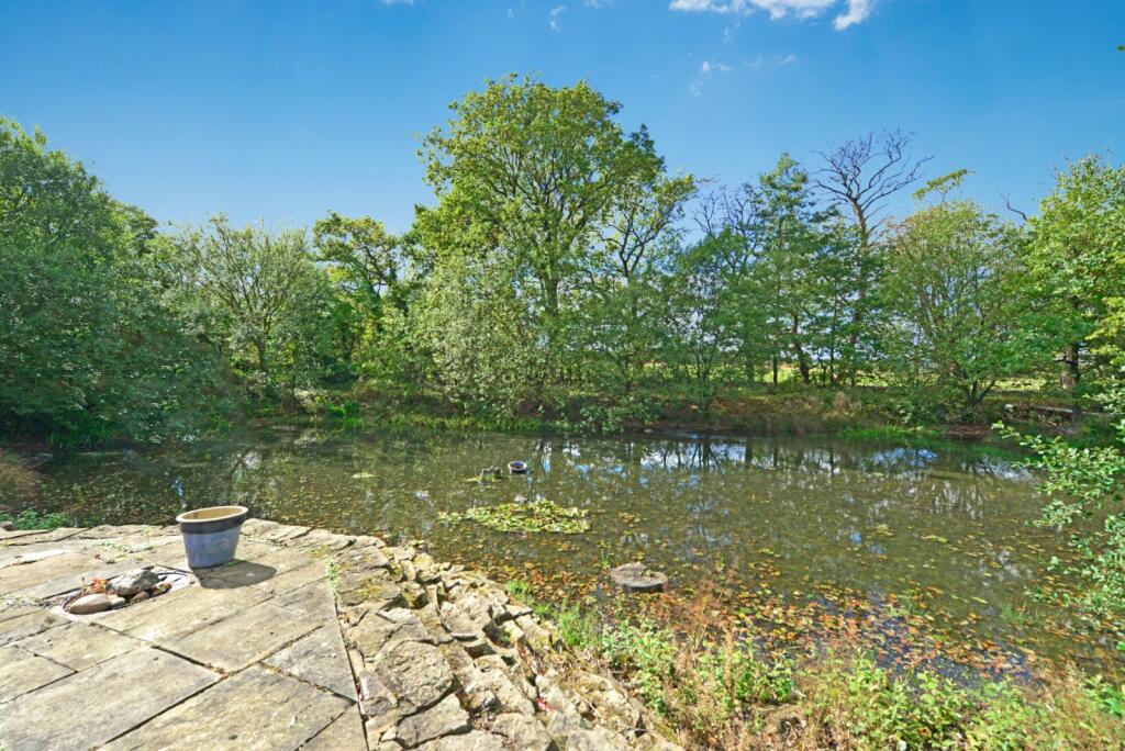 Pond