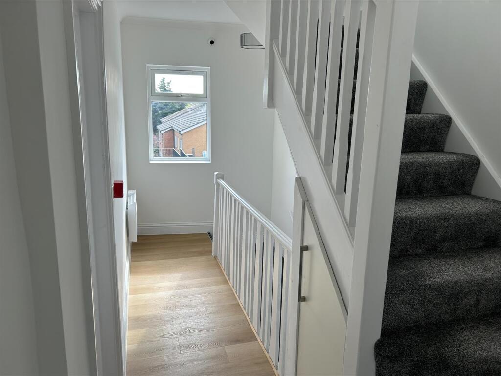 processed-214BEB3C-4D94-4579-AECD-61EB1C0F0B24.jpe