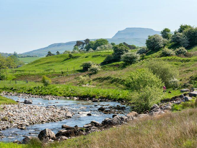 River Greta on park
