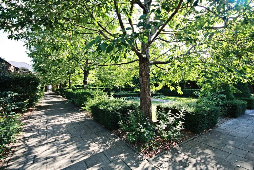 QMP - Rose Garden 2 June 2025