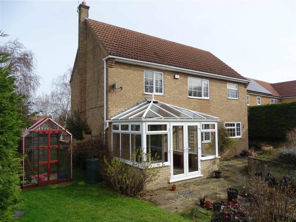Rear Elevation B