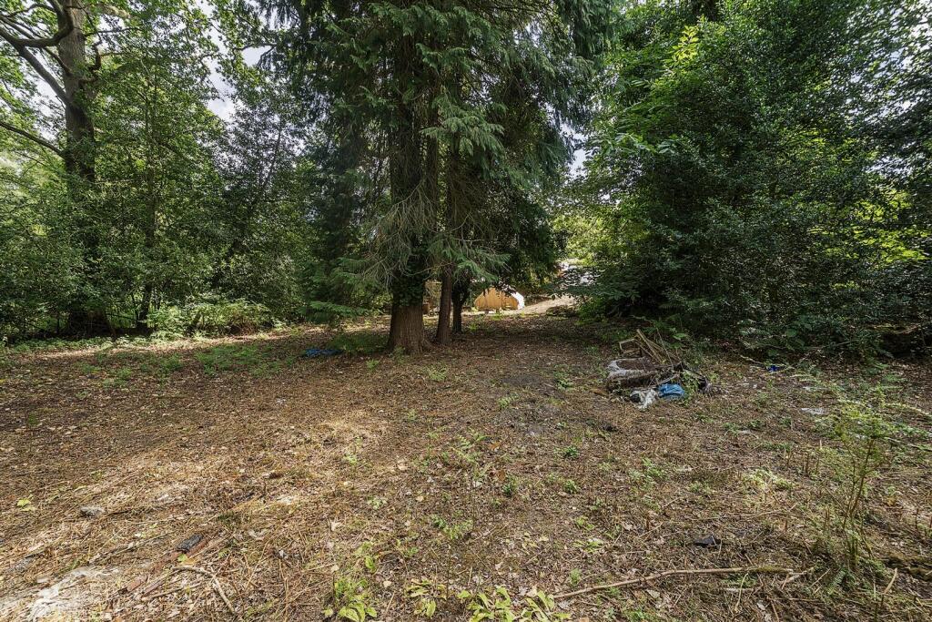 1317437-5-6867a086cb369 (2).JPG