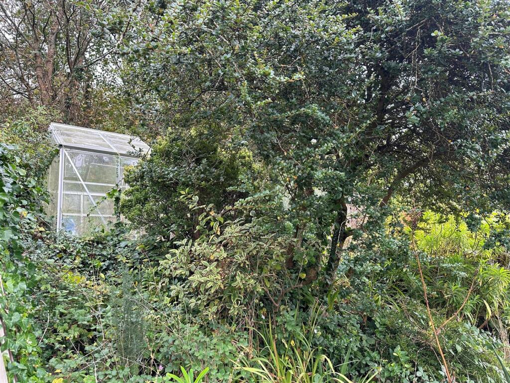 Greenhouse.jpg