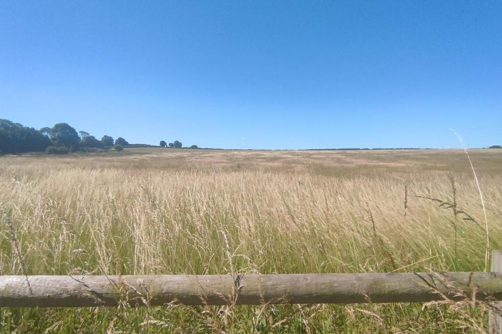 Field