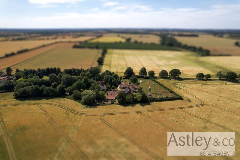 countryside