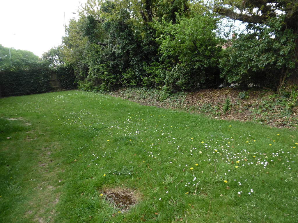 Communal Garden