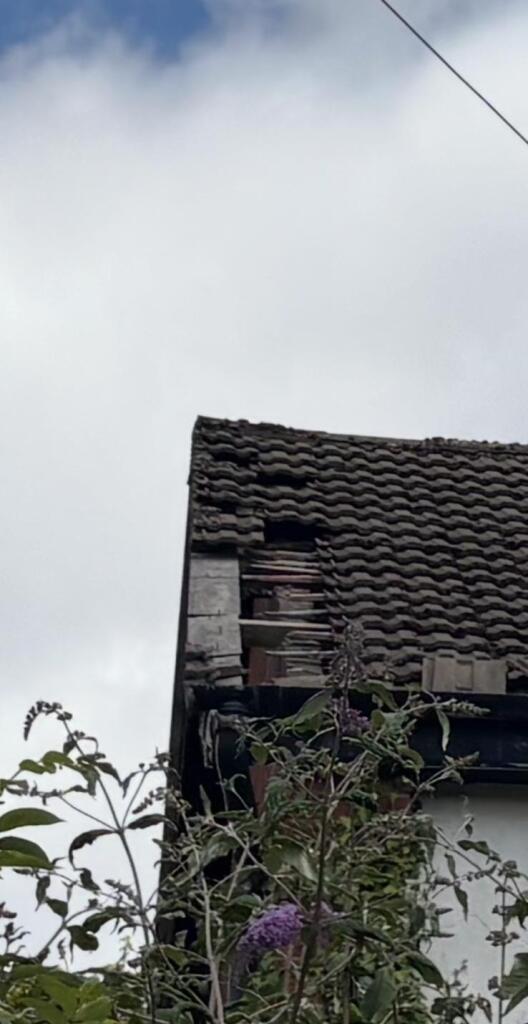 84b6cf4e-73eb-4a5e-a1ae-ee9204b01525 T202507041050.jpg