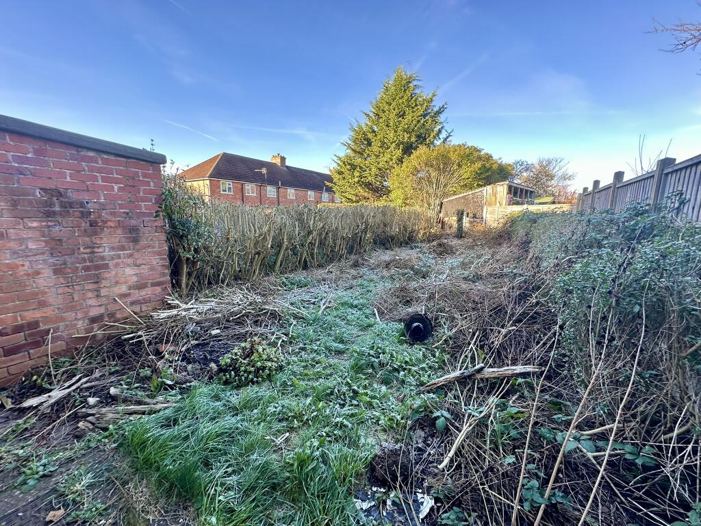 IMG 4208 T202511291136.jpeg