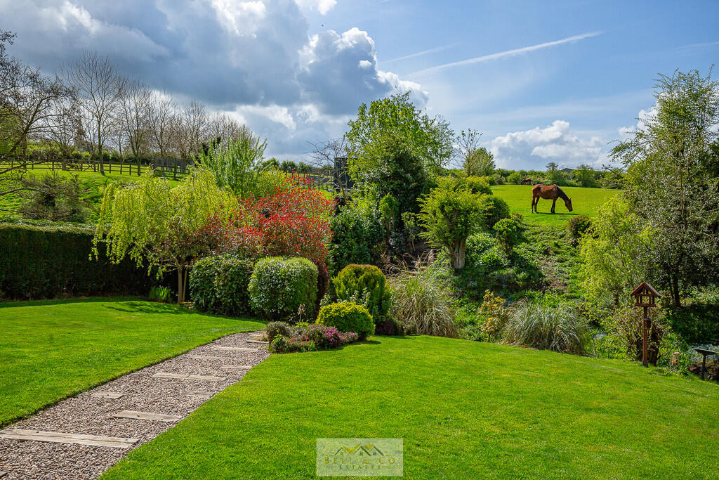 Back garden 1.9