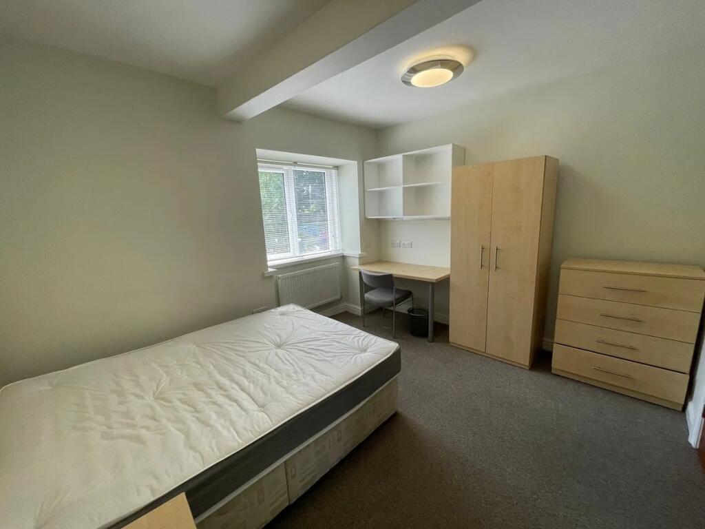 A neat and well-lit single bedroom featuring a ...