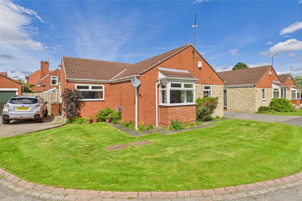 CAM04201G0-PR0077-STILL001