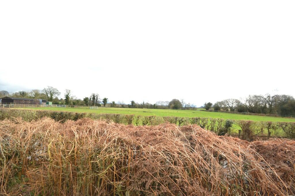 Views Over Fields...