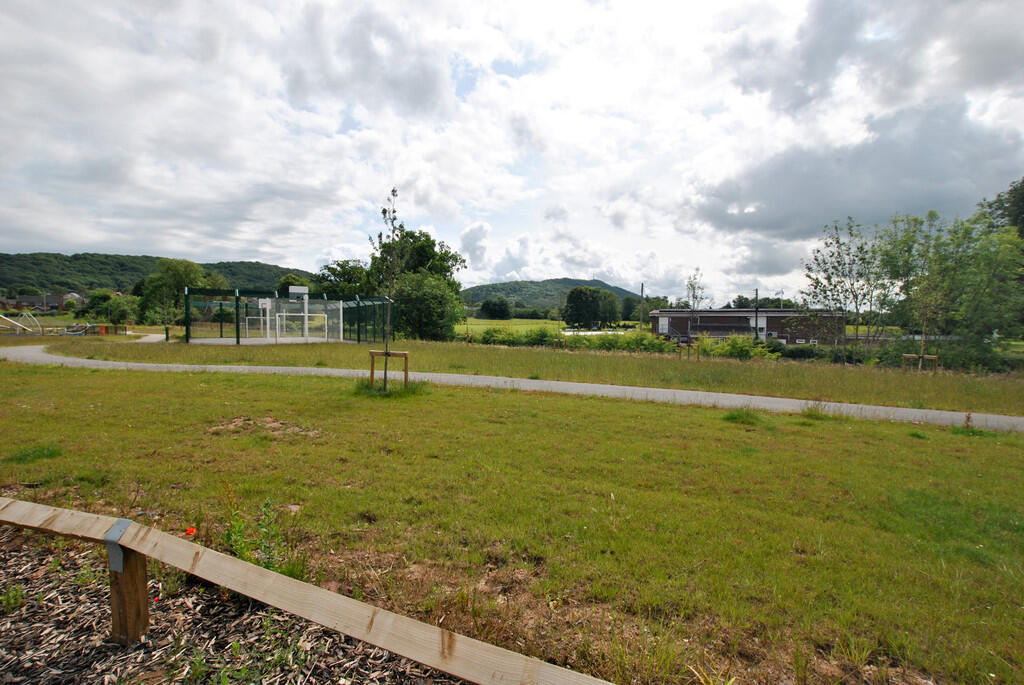 Cricket view_edit...