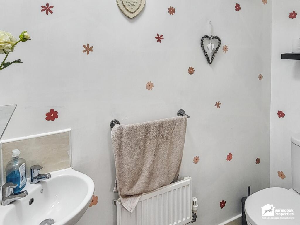 IMAGE 8 