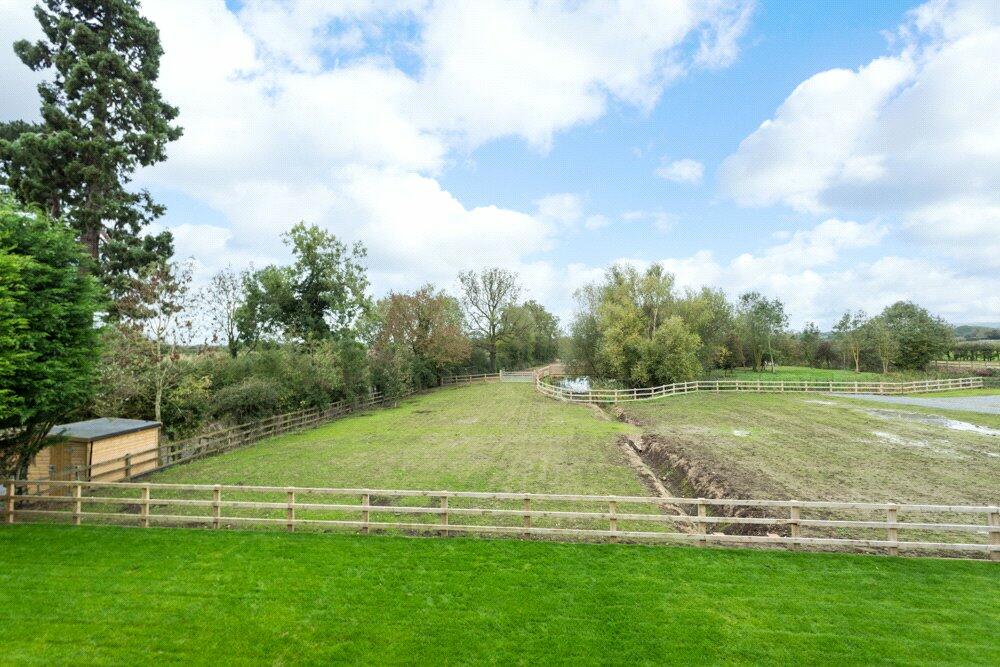 Garden/Land