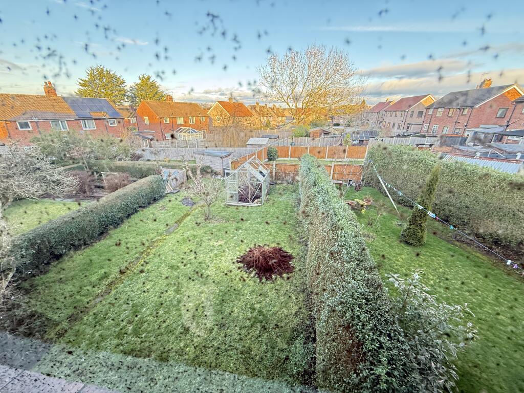 IMG 2488 T202601081127.jpg