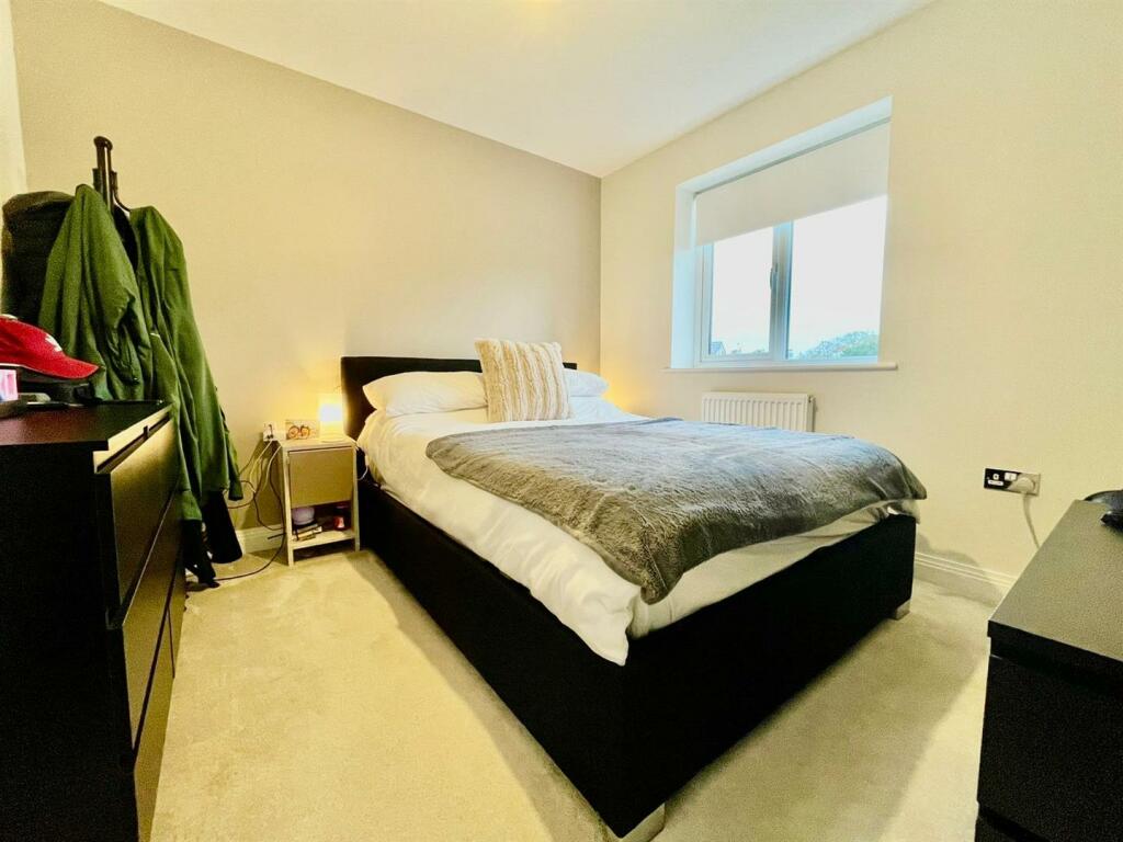 PHOTO-2024-11-06-15-44-46 2.jpg