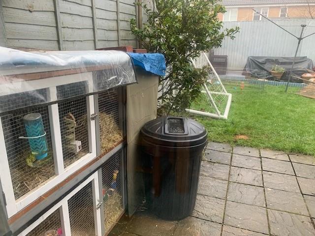 Rear Garden.jpg