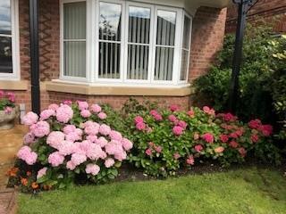 Highfield front garden.jpg