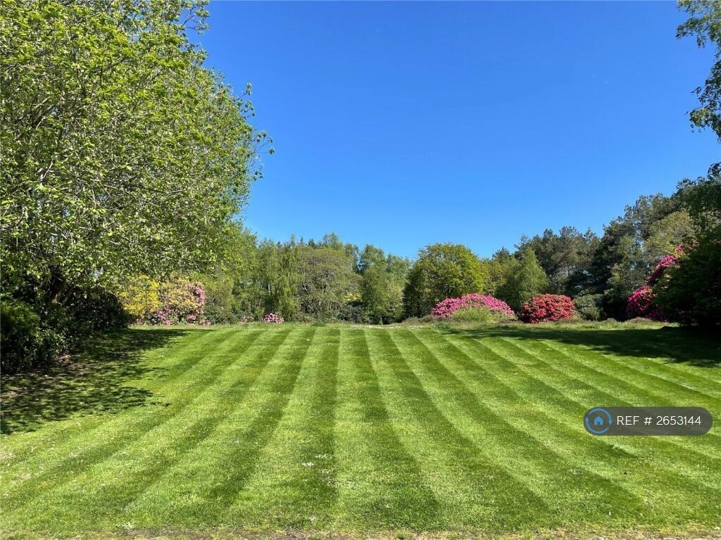 Grounds