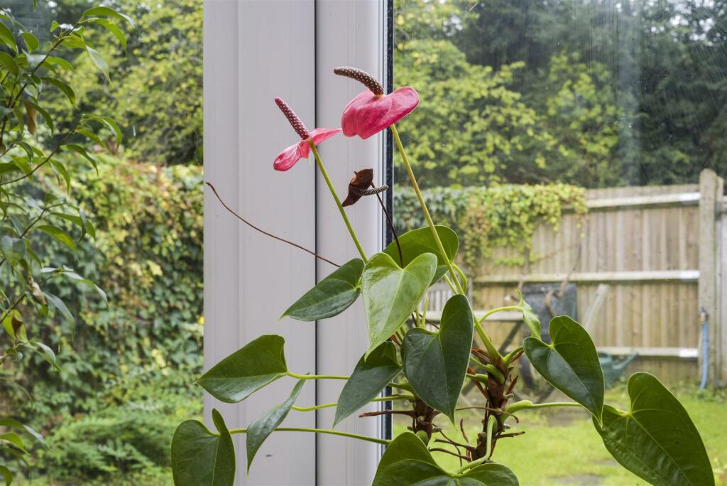 LAKERS RISE,58 (6).jpg