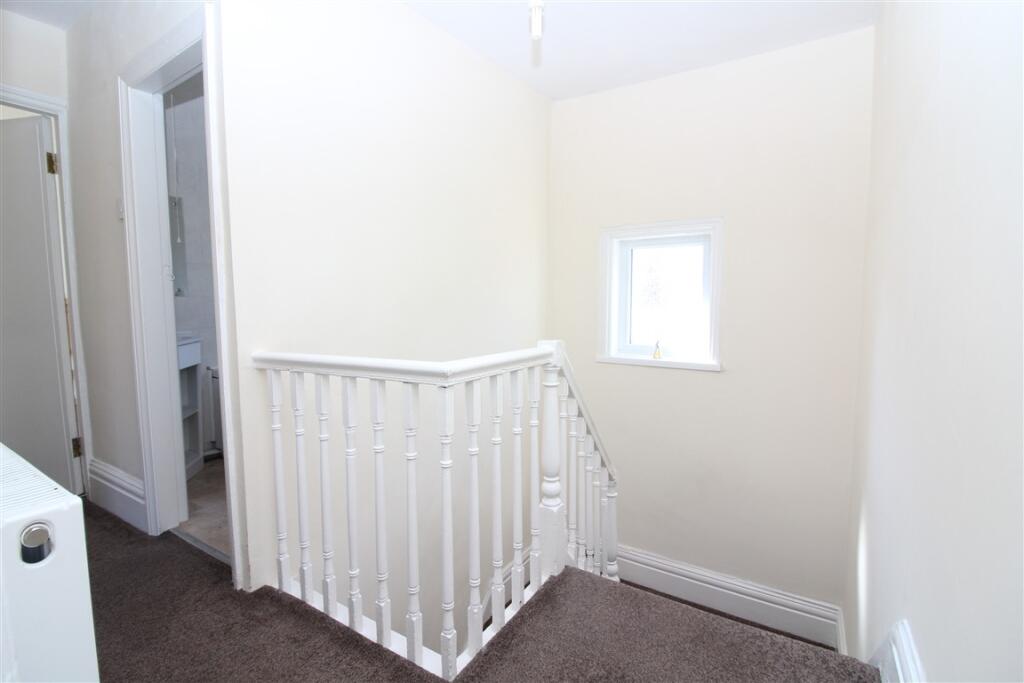 IMG 4906  Medium  T202504091055.jpg