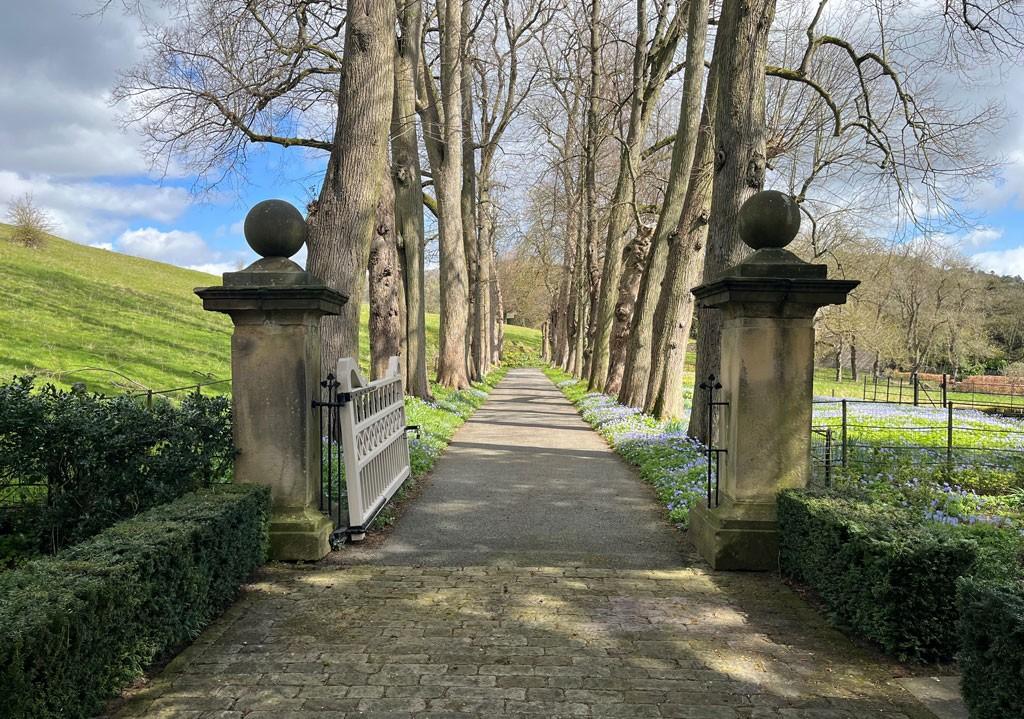 Main drive