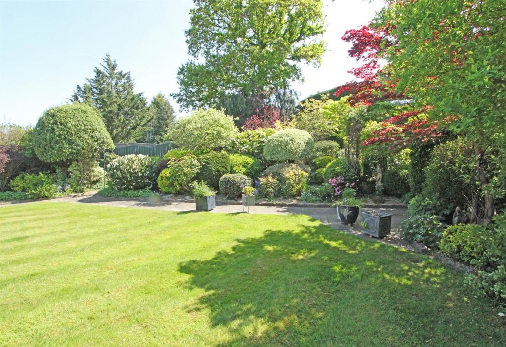 IMG_5098 garden shrubs.jpg