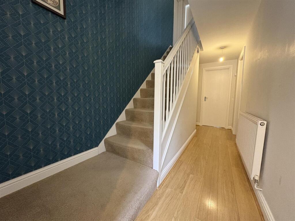 IMG_1127 (Large).jpeg