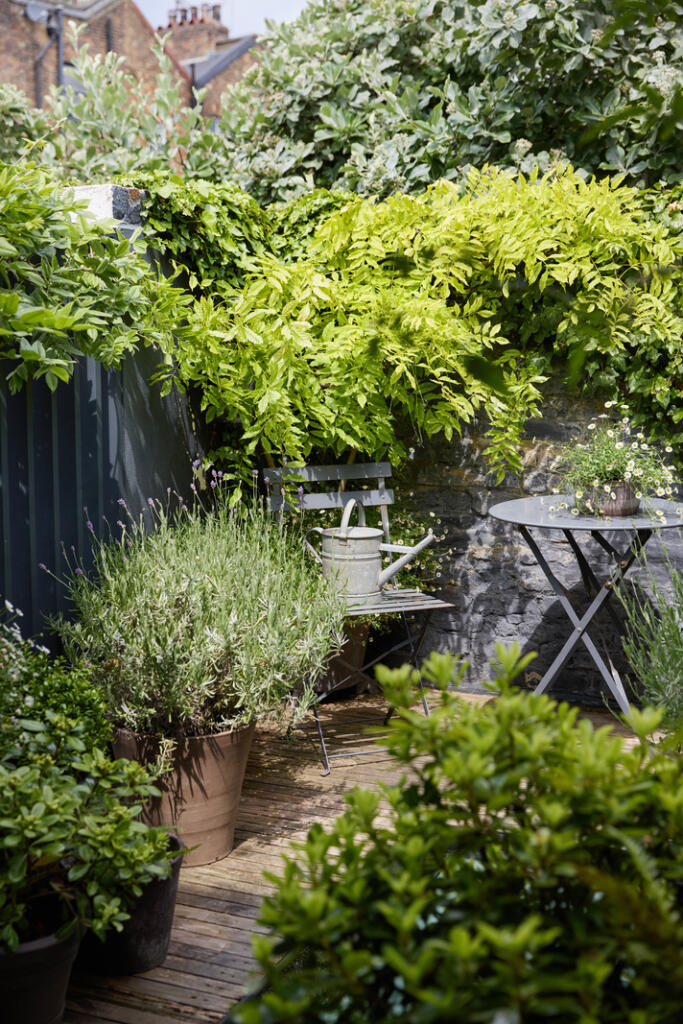 290790 - DGLA1582.jpg