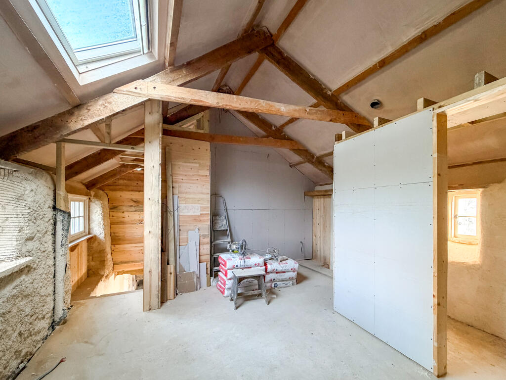 IMG 1946 T202512101732.jpg