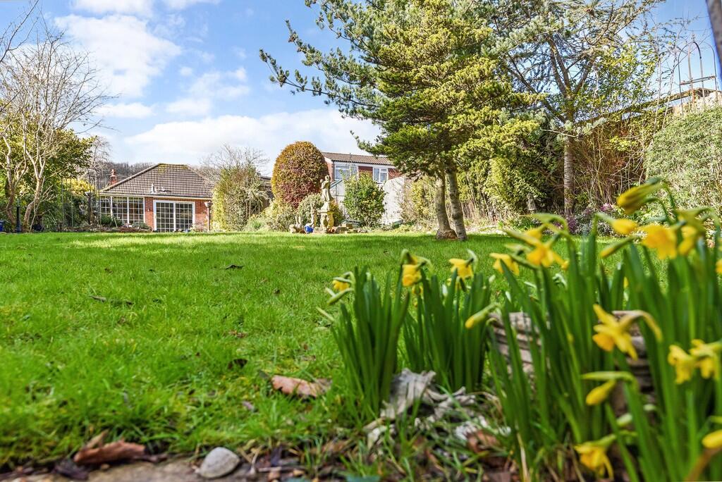 sketch_Ph26_57417...