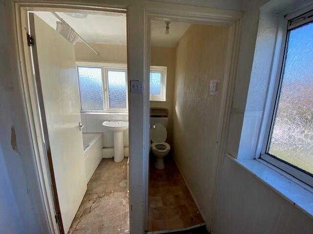 Wc T202503281251.jpg