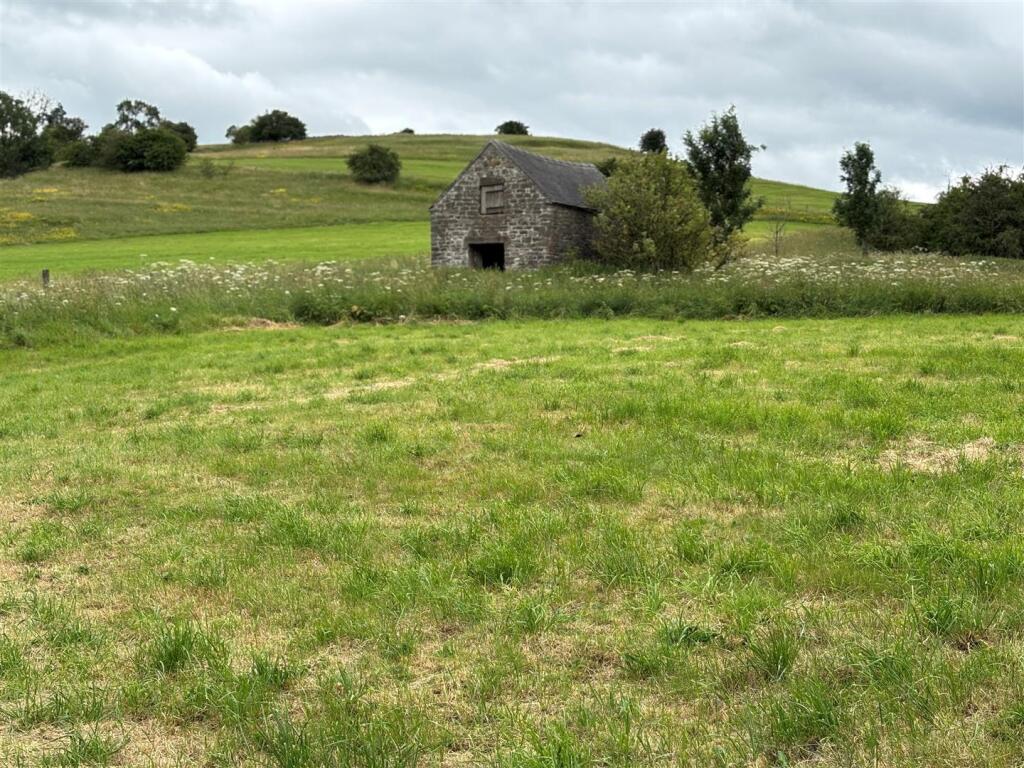 lot 1 f.jpg
