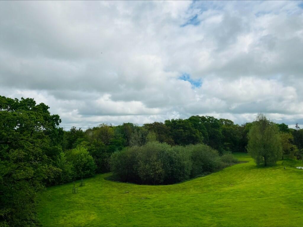View from lounge 