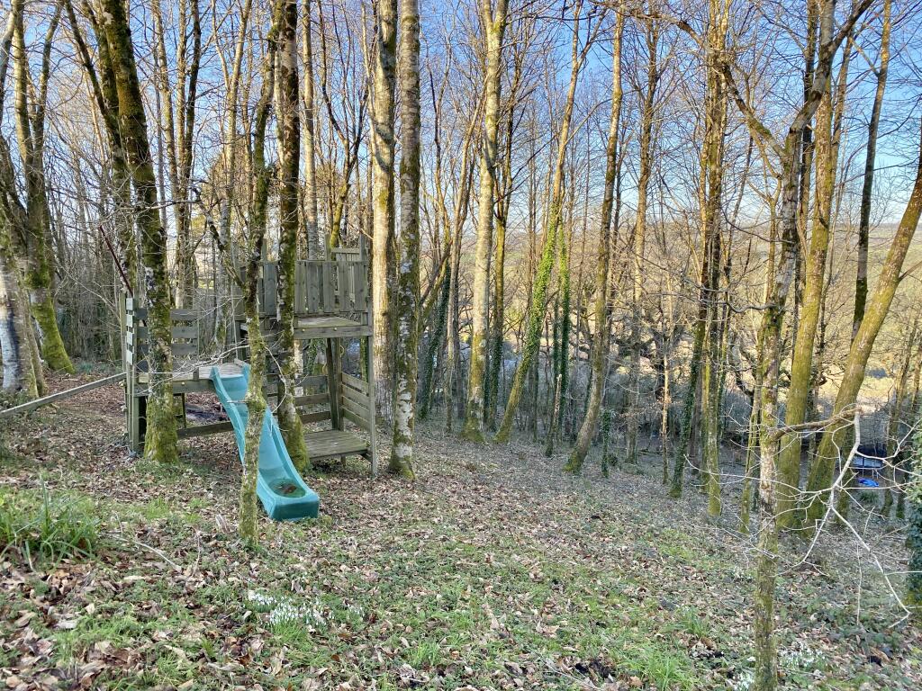 Woodlands with various tree houses