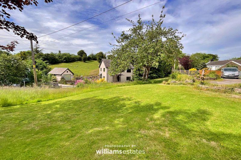 Garden and views