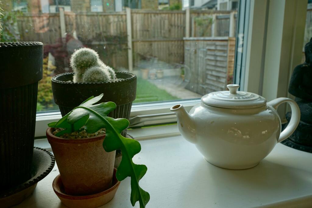 Fd9cbfb2-eb7b-4909-932d-f1293104924c