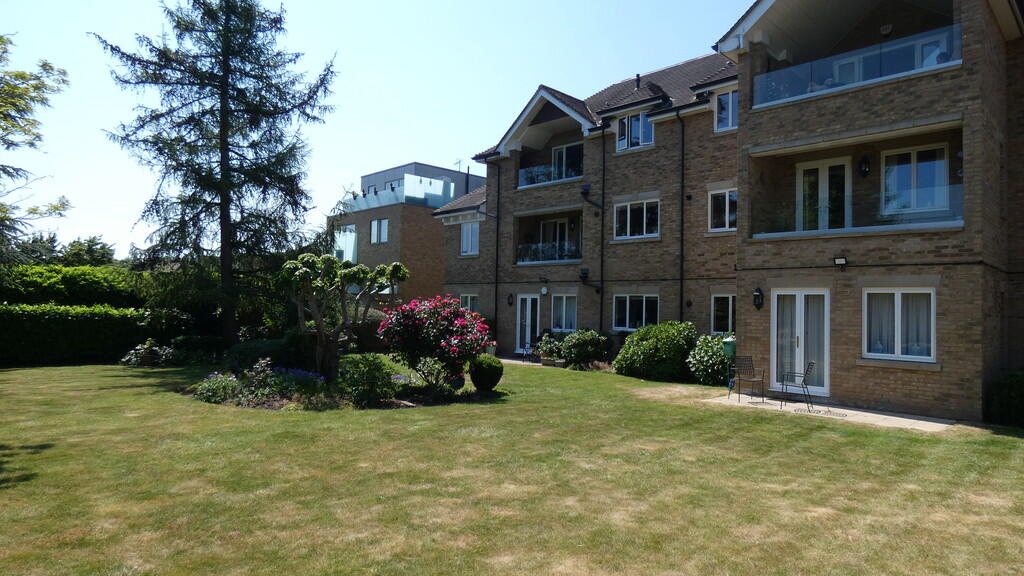 Rear Elevation