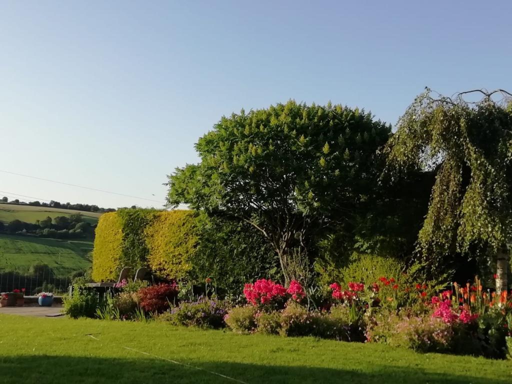 Vendor's garden phot
