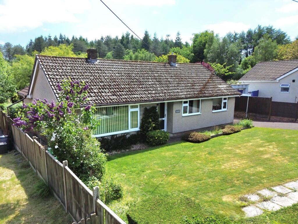 picture taken by the vendor