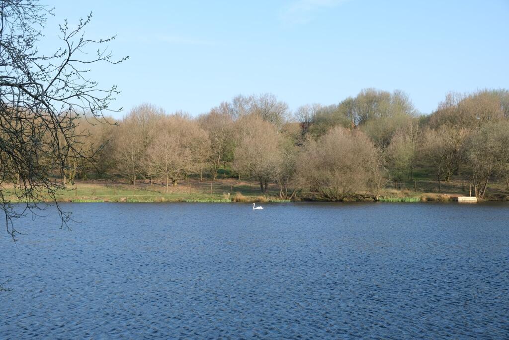 Water Access from Garden