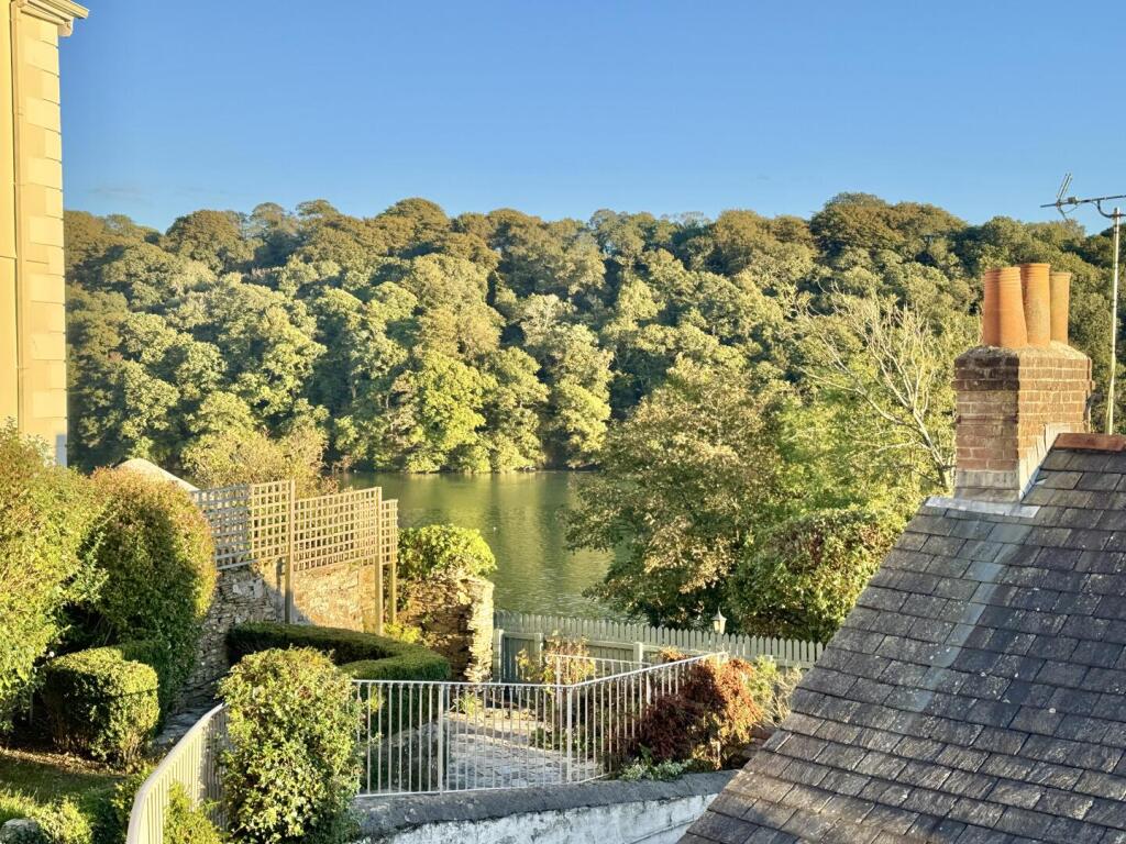 View From the Garden